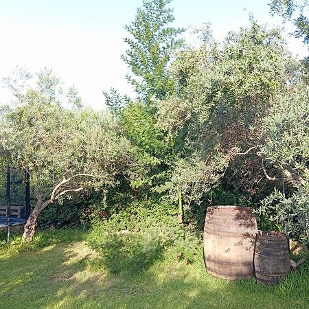 Ai Tre Desideri La Casita Villa Aci Castello Bagian luar foto