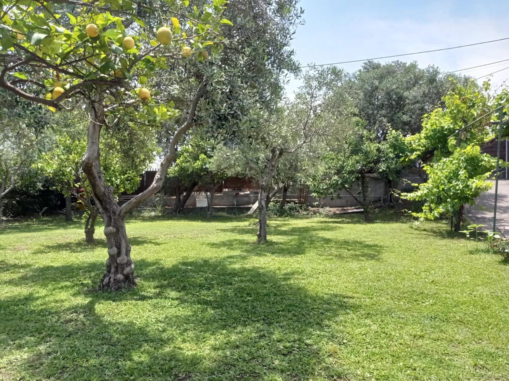 Ai Tre Desideri La Casita Villa Aci Castello Bagian luar foto