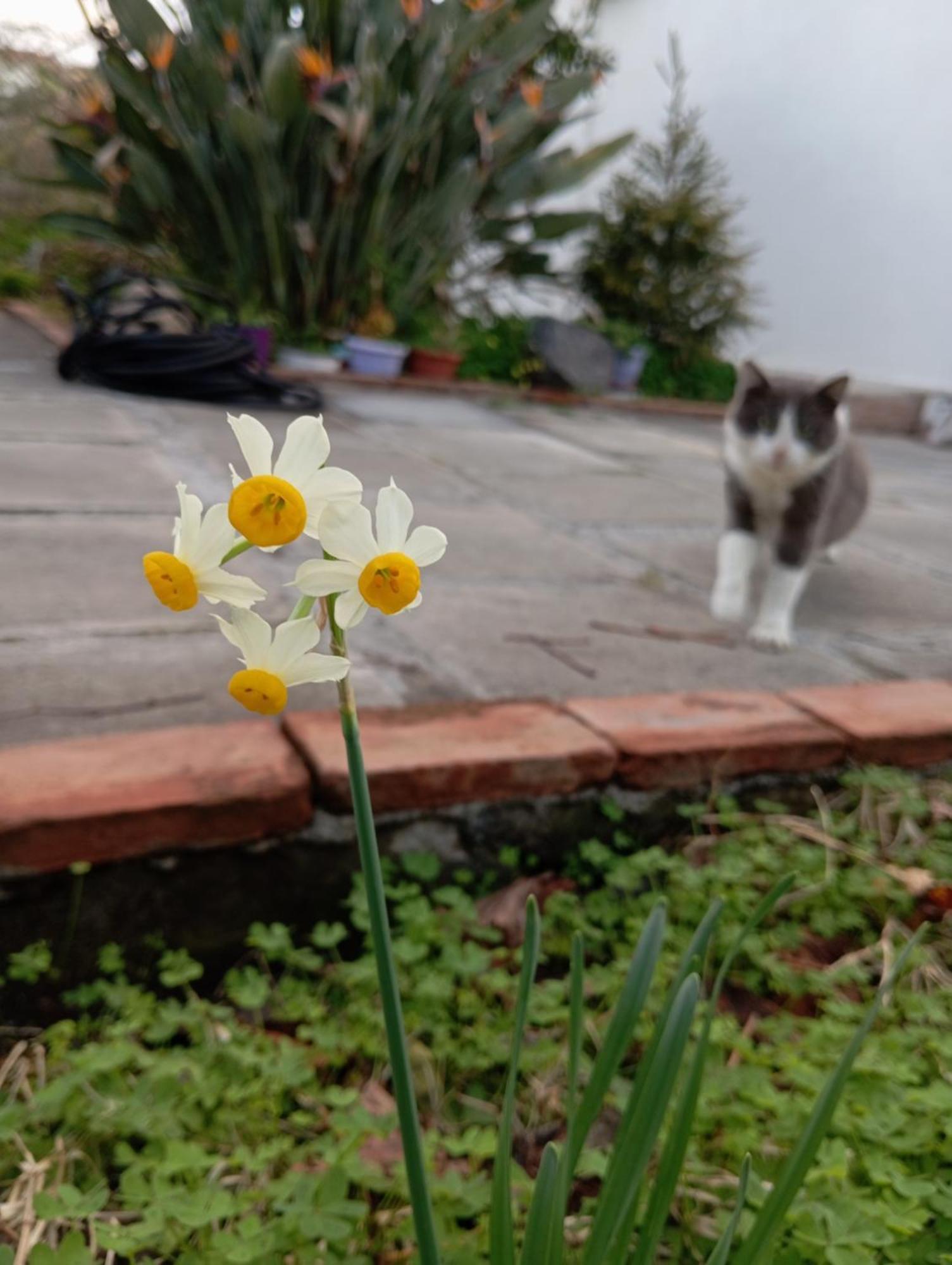 Ai Tre Desideri La Casita Villa Aci Castello Bagian luar foto