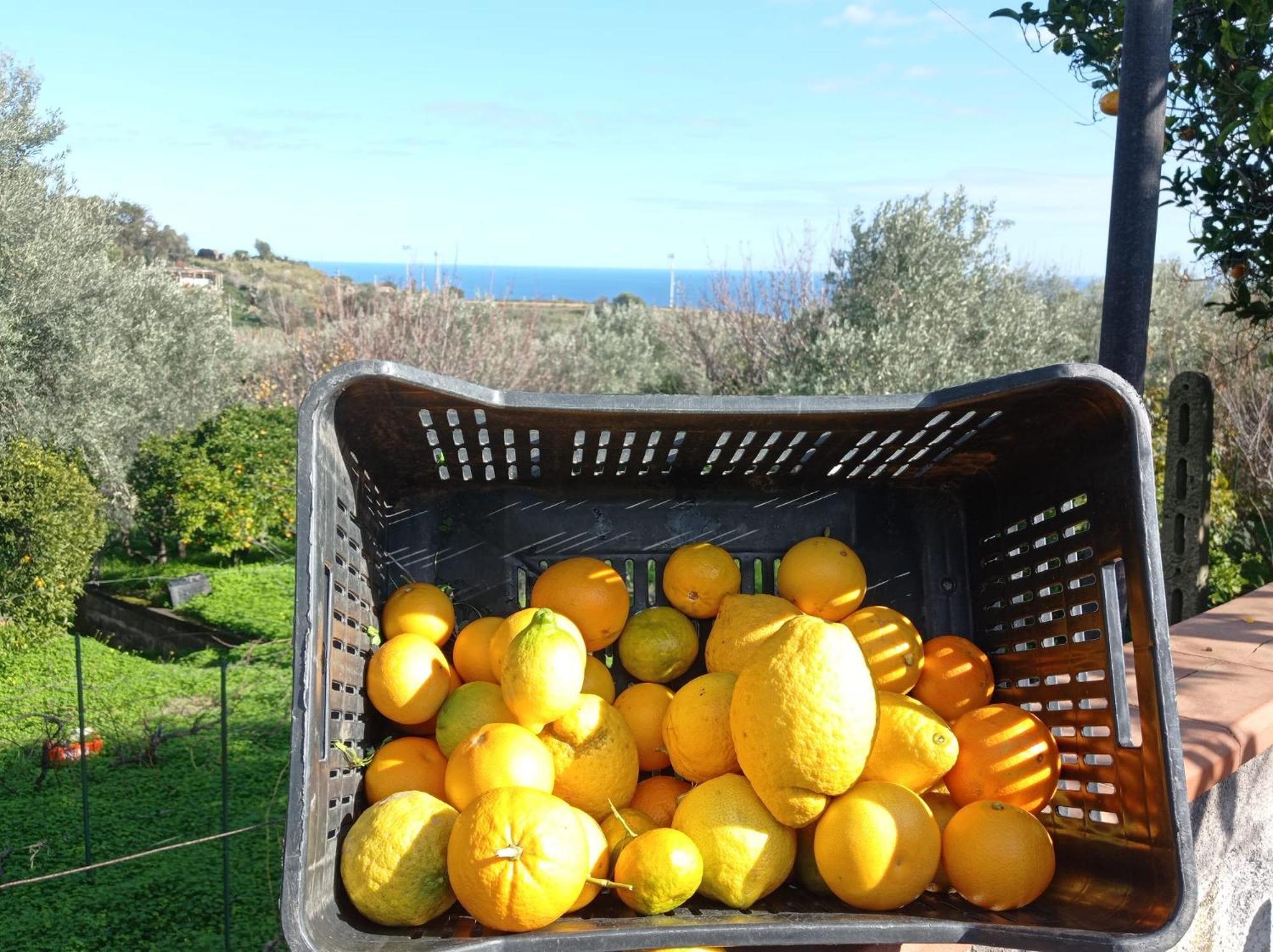 Ai Tre Desideri La Casita Villa Aci Castello Bagian luar foto