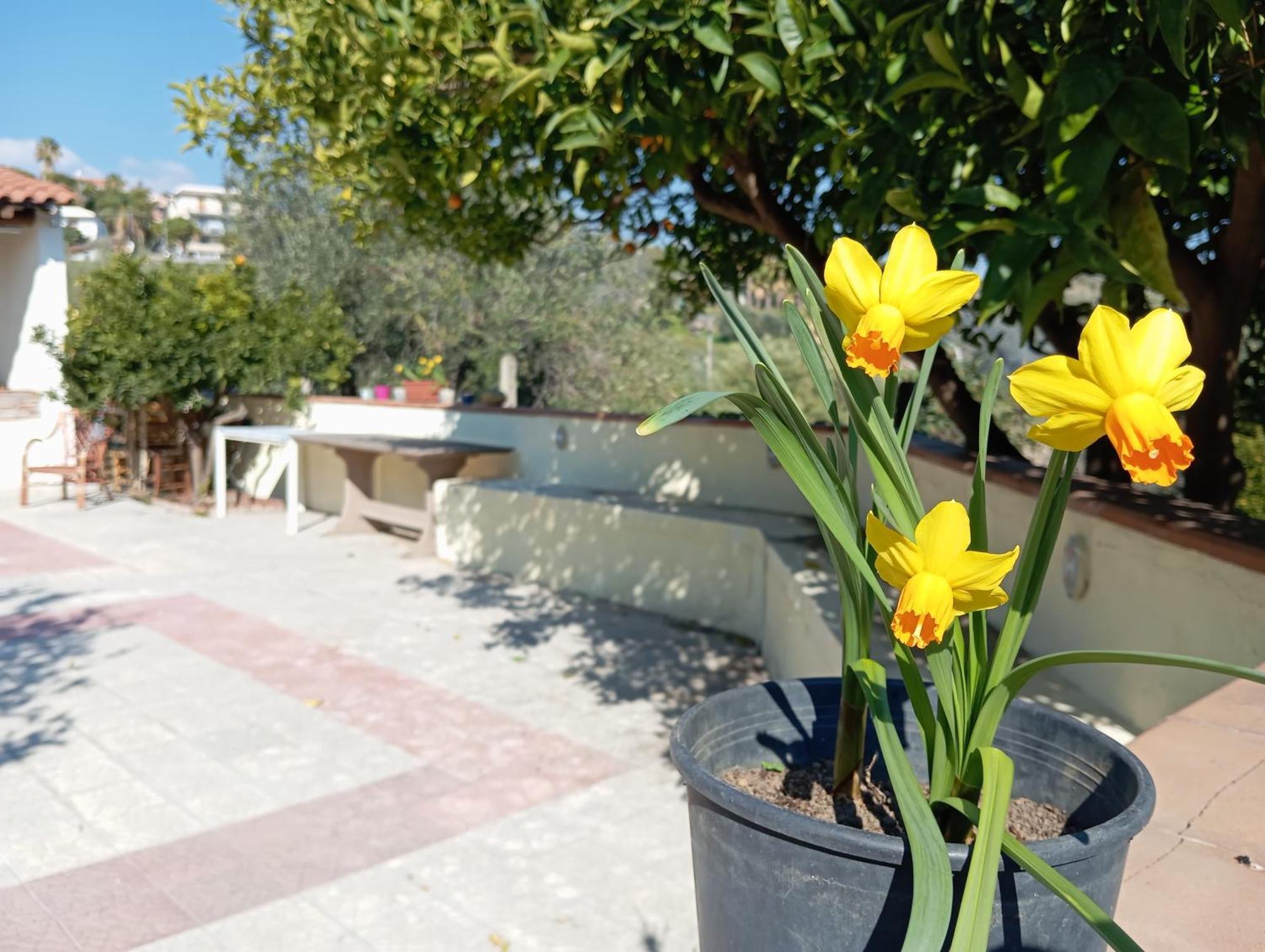 Ai Tre Desideri La Casita Villa Aci Castello Bagian luar foto