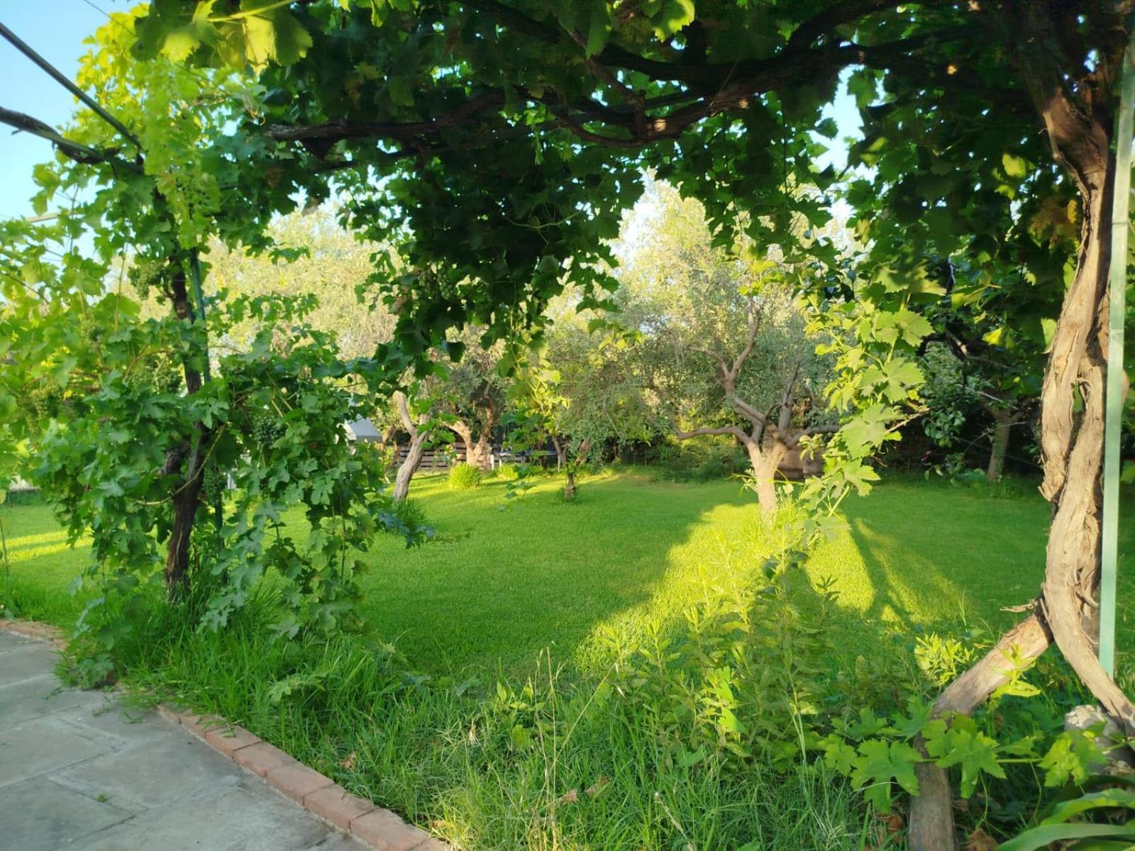 Ai Tre Desideri La Casita Villa Aci Castello Bagian luar foto